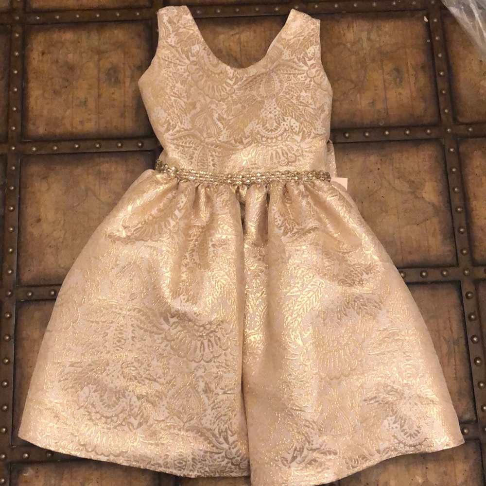 NWT girls dress